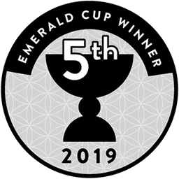 Award 3