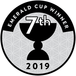 Award 4