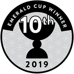 Award 5