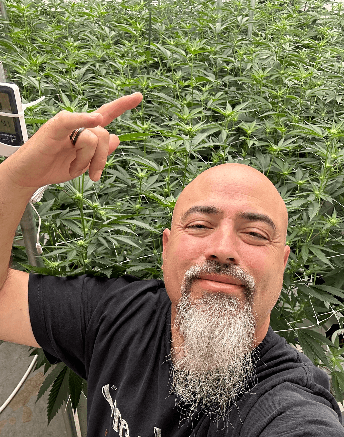 Josh D in cannabis garden
