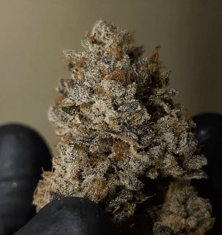 The OG KISS thumbnail 1