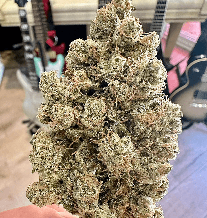 Skull Crusher bud photo 1